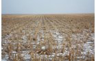 Property photo 62 - Kansas Land Auction - 960 Acres - 7 Farms in 3 Counties